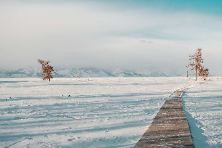 тропа, пустошь, деревья, Байкал