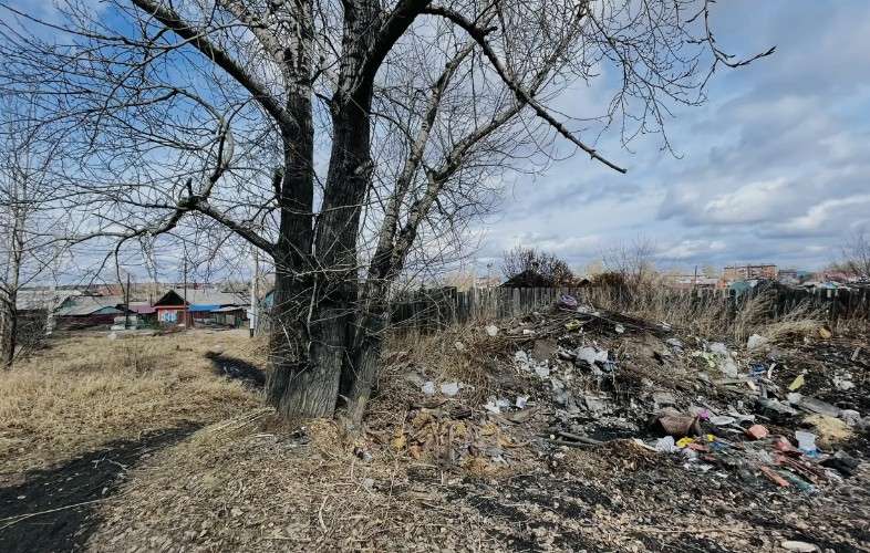 Свалка под деревом