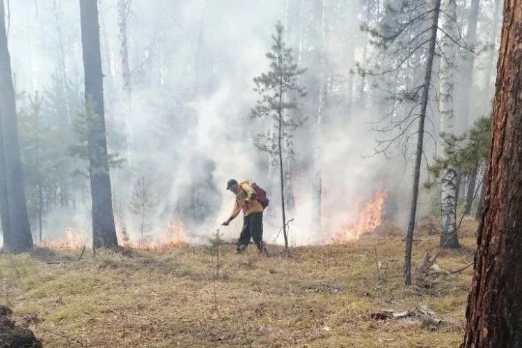 Тушение лесного пожара