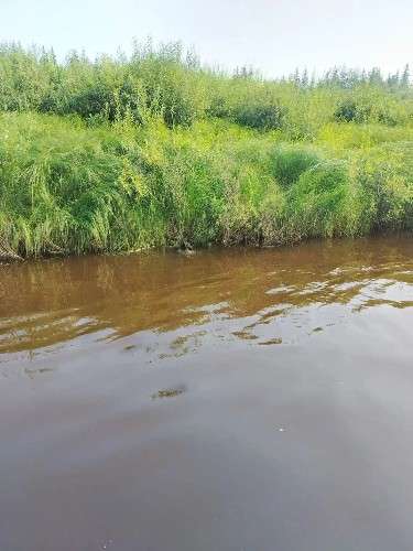 река