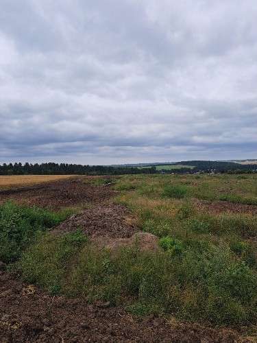 Поле с рыхлой темной землей и кучами грунта. Местами пробивается зеленая трава. Слева виден участок с золотистой спелой пшеницей. Вдали — темная полоса леса. Небо полностью затянуто серыми тучами.