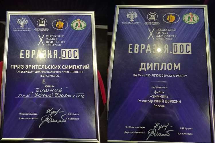 Дипломы