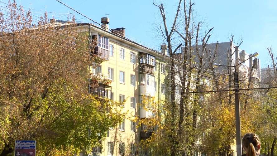 Вид на панельный дом и деревья перед ним