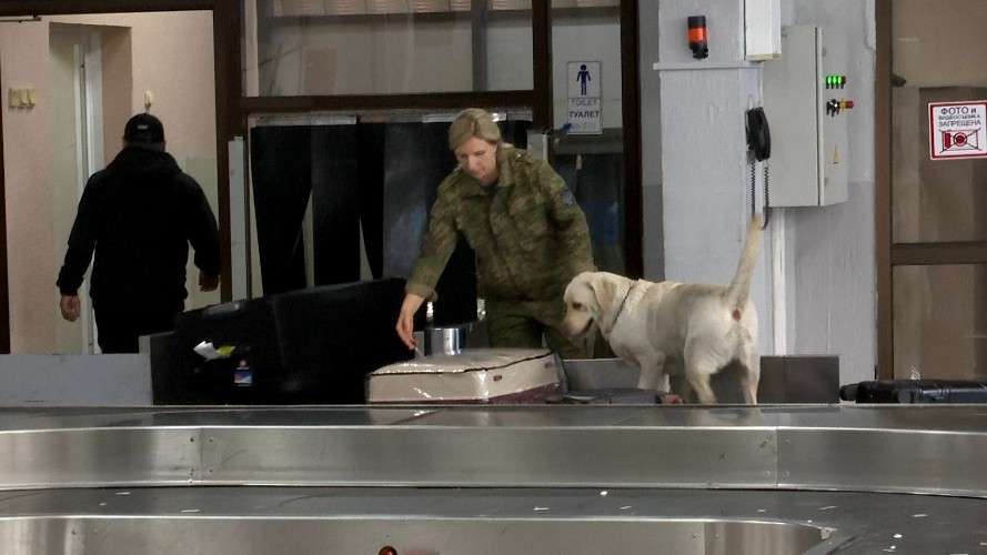 Собака проверяет чемодан