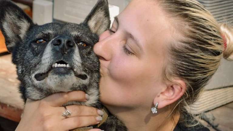 Зооволонтёрство активно развивается в Иркутской области