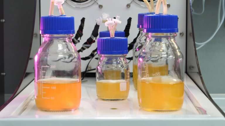 Инструменты взамен импортным создают на 3Д-принтере иркутские учёные