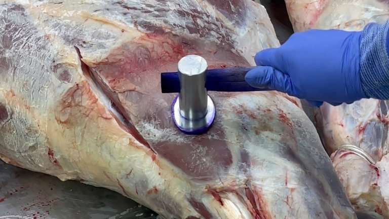 Иркутяне опасаются покупать говядину и молочные продукты из-за эпидемии узелкового дерматита у животных