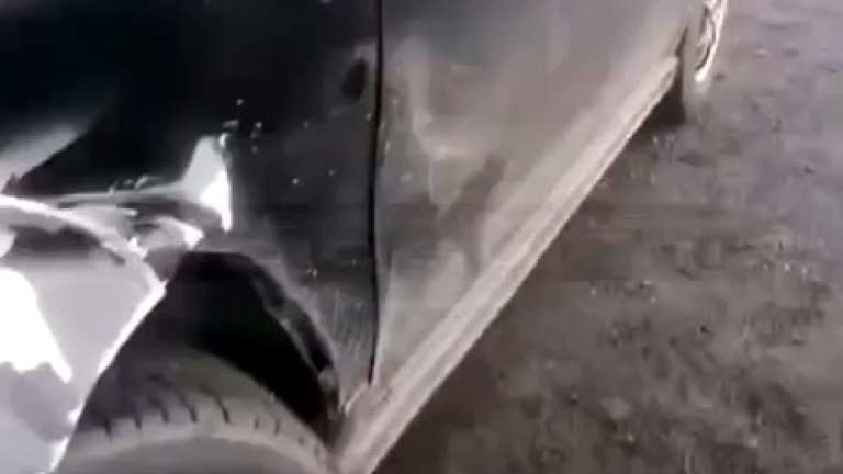 Медведица напала на автомобиль в Усть-Илимском районе