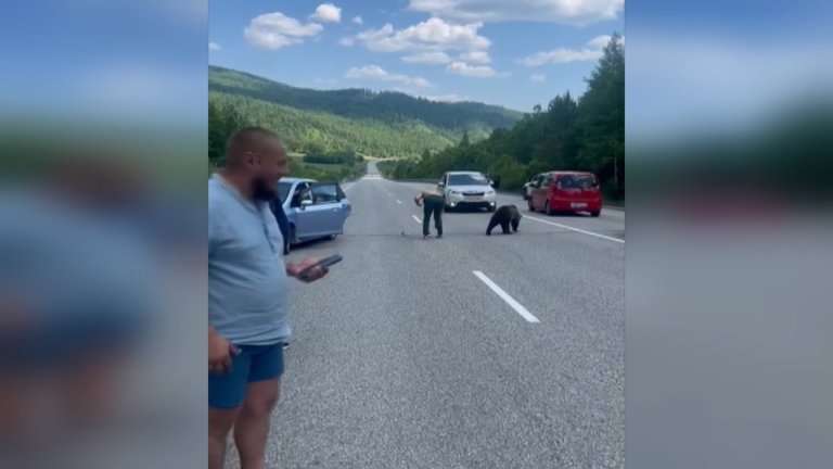 Вышедший из леса медвежонок пытался забрать тапочки у мужчины в Слюдянском районе