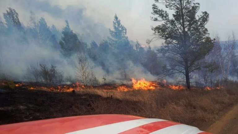 Три крупных пожара произошли в Иркутской области: пострадали люди, уничтожено 30 построек