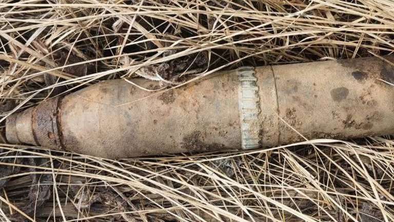 Боеприпас обнаружили около деревни Сосновка в Усольском районе