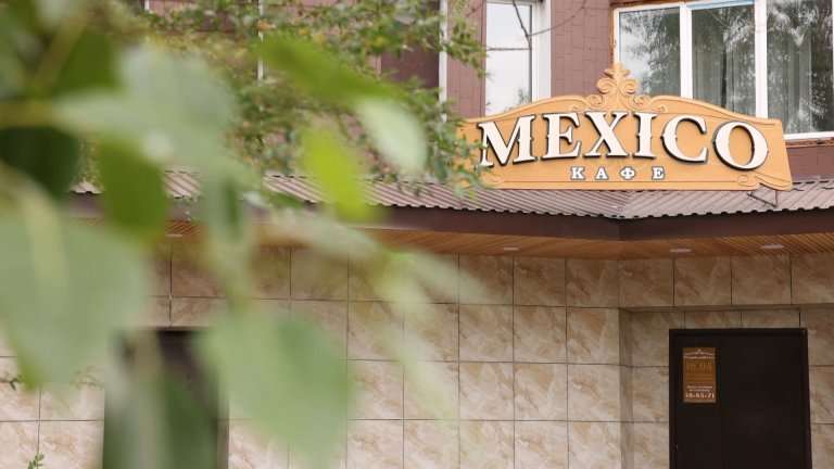 Бактерия сальмонеллы названа наиболее вероятной причиной массового отравления в Братске