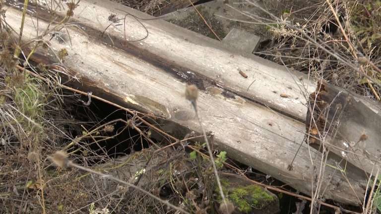 В 4-метровую яму при поисковой операции провалилась волонтёр в Иркутском районе