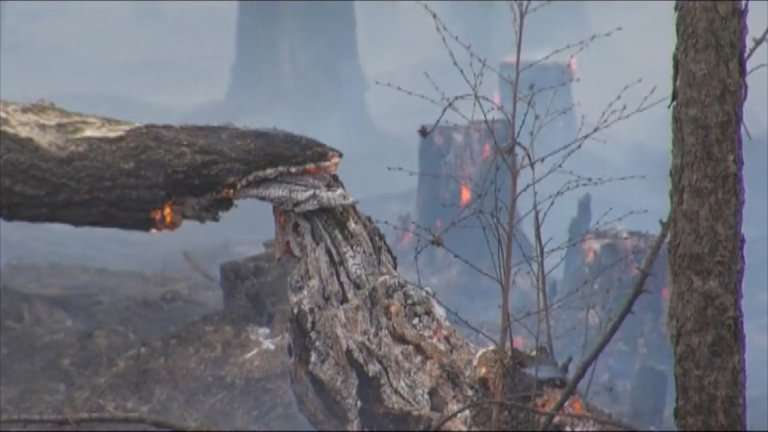 Грозы стали причиной двух лесных пожаров в Иркутской области