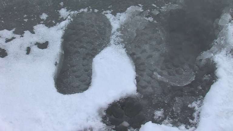 Трое детей погибли за сутки в Иркутской области: одного сбил поезд, двое утонули