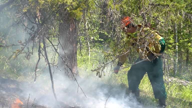 Грозы значительно усложняют ситуацию с лесными пожарами в Иркутской области