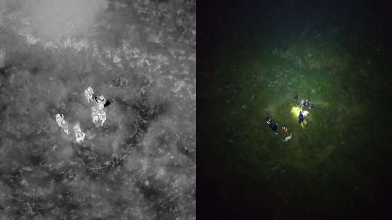 Горячий сезон, или Сбор ягод и грибов в Иркутской области зачастую заканчивается поисками людей в лесу