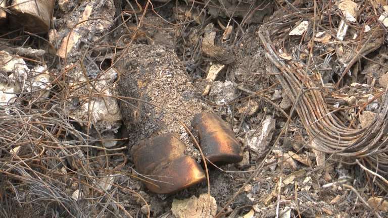 Фермеру из Иркутского района отказали в выплате компенсации за уничтоженное из-за узелкового дерматита стада