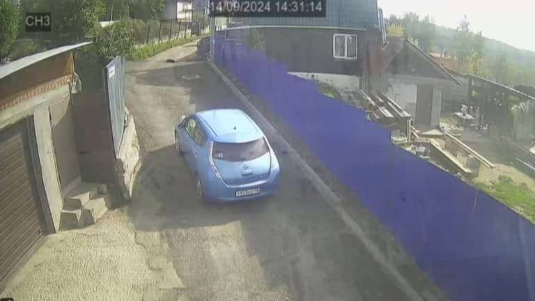 Лежащую на дороге собаку переехала на полном ходу автолюбительница в Иркутском районе