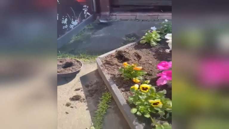 Крадут у самих себя: летом число краж городского имущества растёт в Иркутской области