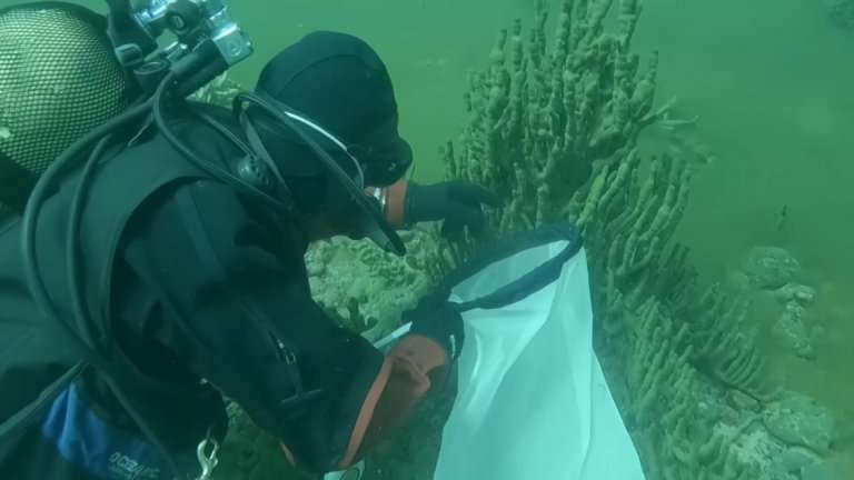 Температуру и чистоту воды Байкала изучали иркутские учёные во время экспедиции