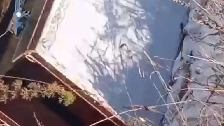 Гроб у дороги обнаружили жители Иркутска