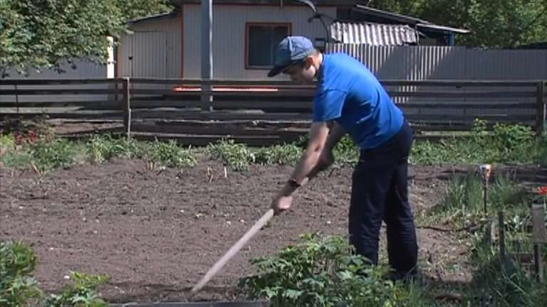 13 тысяч вакансий для подростков открыто в Иркутской области