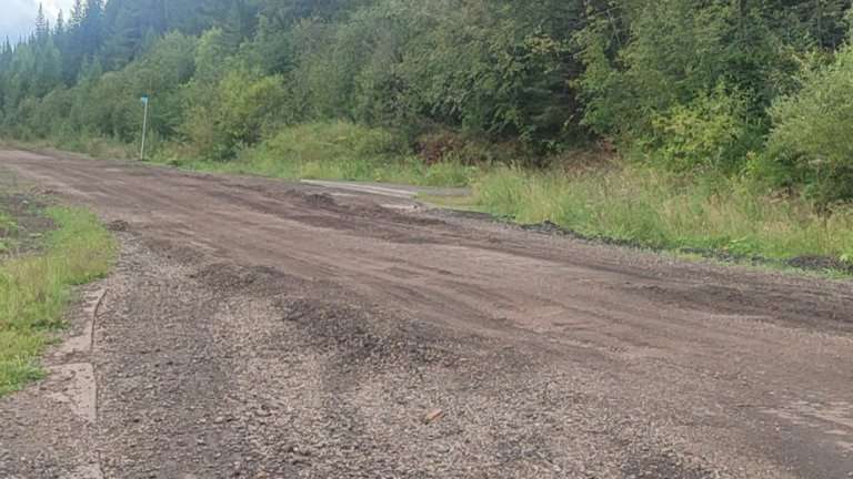 Идти 2 км по безлюдной трассе вдоль леса пришлось ребёнку в Усть-Куте из-за водителя автобуса