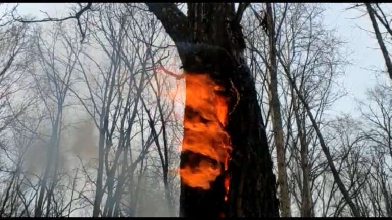 "Ценный выбор": что грозит нарушителям правил противопожарного режима в Иркутской области