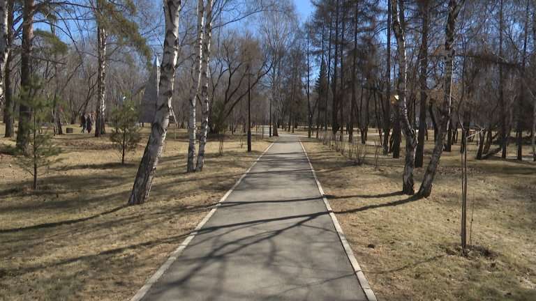 Клещей на себе обнаруживают горожане после прогулок по Иркутску