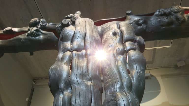 Стать ясновидящими предлагает иркутянам Даши Намдаков на выставке своих новых скульптур