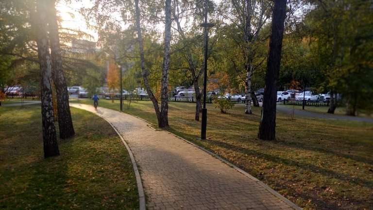 Озеленение города обсудили на новой встрече дискуссионного клуба "PRO Иркутск"