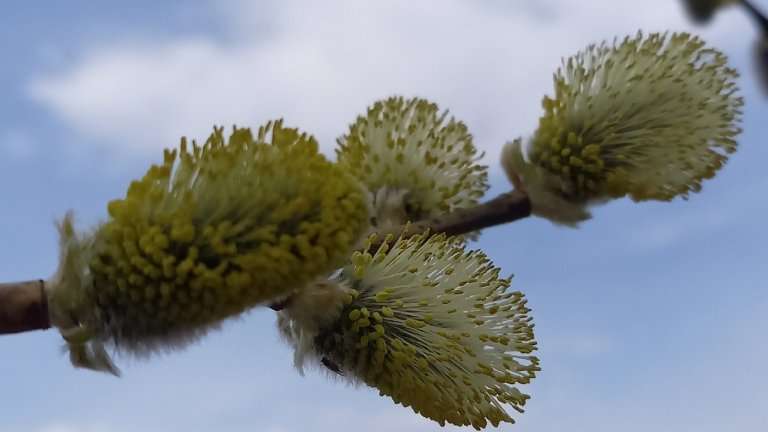 Среднесуточная температура в Иркутске в апреле будет на 4-5 градусов выше нормы