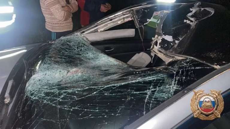 Одна и та же лошадь спровоцировала два ДТП в Эхирит-Булагатском районе