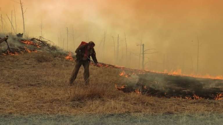 Два часа потребовалось на тушение пожара в Прибайкальском нацпарке