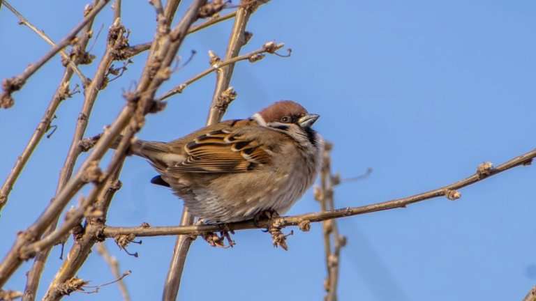 Устойчивая плюсовая температура в Иркутской области ожидается только в начале апреля