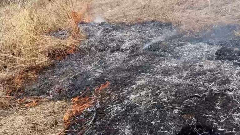 Дым и сильный запах гари фиксируют в районе Кругобайкальской железной дороги