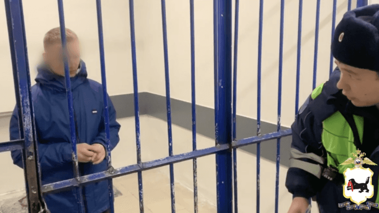 В Ангарске пьяный водитель набросился на сотрудника ДПС