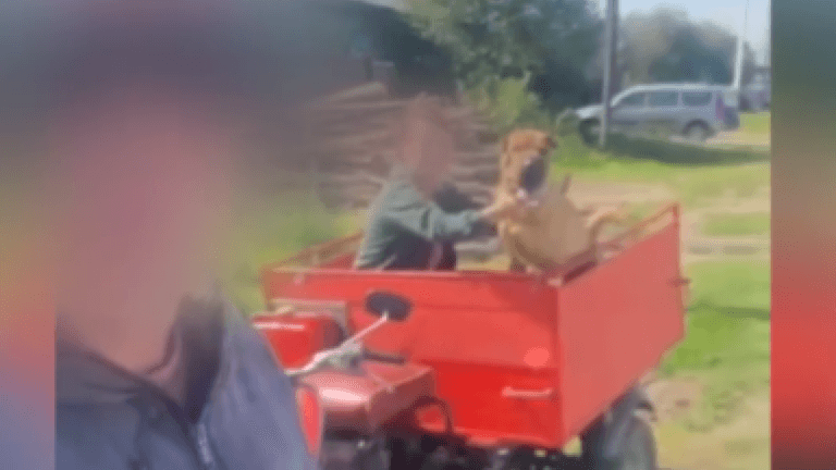 Рекорд по числу нарушений за один заезд поставил пьяный байкер в Иркутском районе