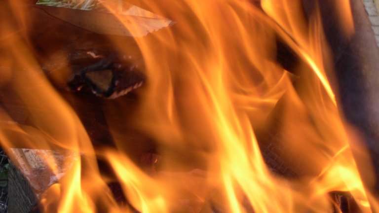 Лесные пожары в окрестностях Братска локализовали