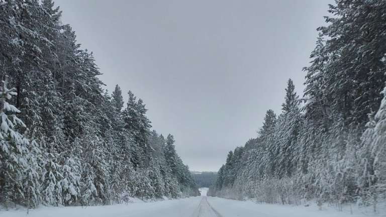 Похолодание придёт в Иркутскую область 12 февраля