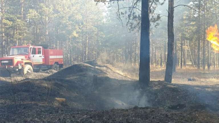 Особый противопожарный режим на севере Приангарья продлили до конца лета