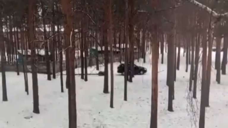 В Ангарске мужчина срубил сосны в парке и утащил их, привязав к машине