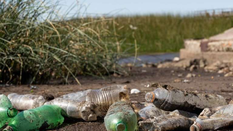 На 50 тысяч рублей оштрафовали фермера из Иркутского района за сорняки и свалку