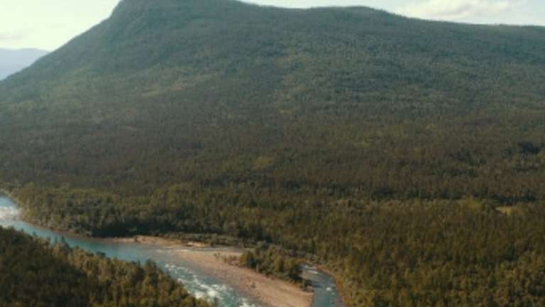 Комаров стало ощутимо меньше этим летом в Витимском заповеднике