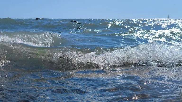 Отдыхающие вернули к жизни утопающего в Нижнеудинском районе