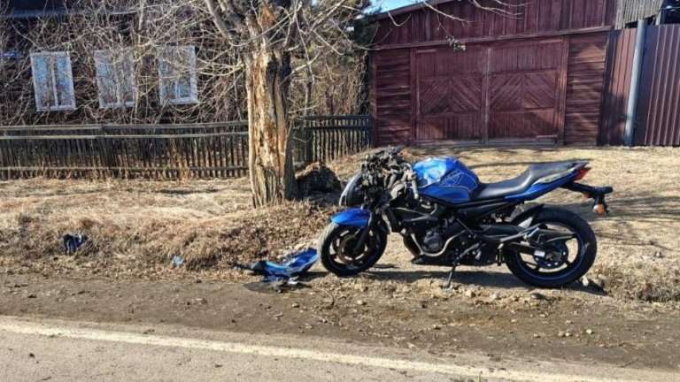 В Куйтуне мотоциклист врезался в дерево и погиб