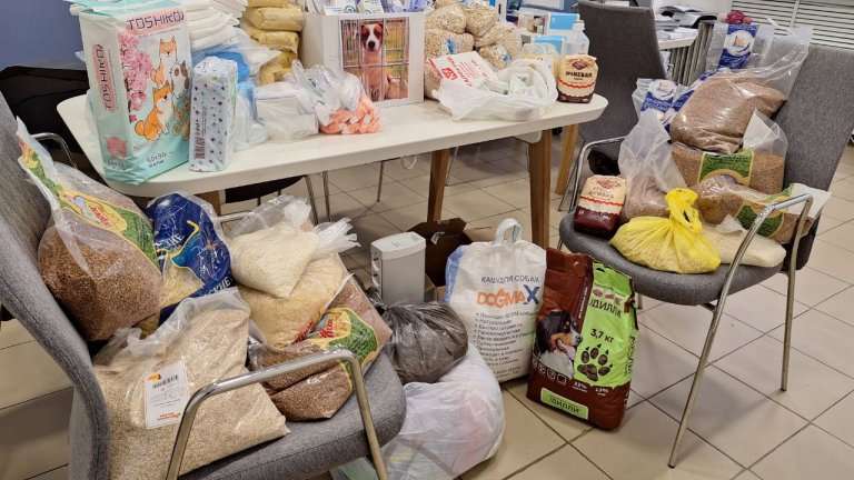 Иркутский филиал «Ростелекома» помог питомнику для собак К-9