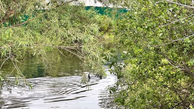 Режим повышенной готовности ввели в Иркутской области из-за подъёма уровня рек