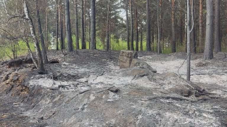 Отжиги сухой травы начали в Иркутске